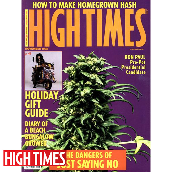 雑誌「HIGH TIMES 1988年11月号（オールドストック ハイタイムス ★極上バッズ、フラワー表紙）」