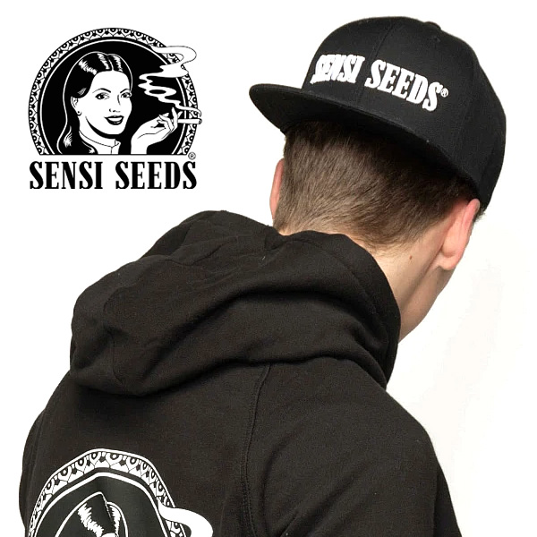 キャップ「SENSI SEEDS (センシシード) スナップバックキャップ」【★購入特典　センシシードグッズつき】